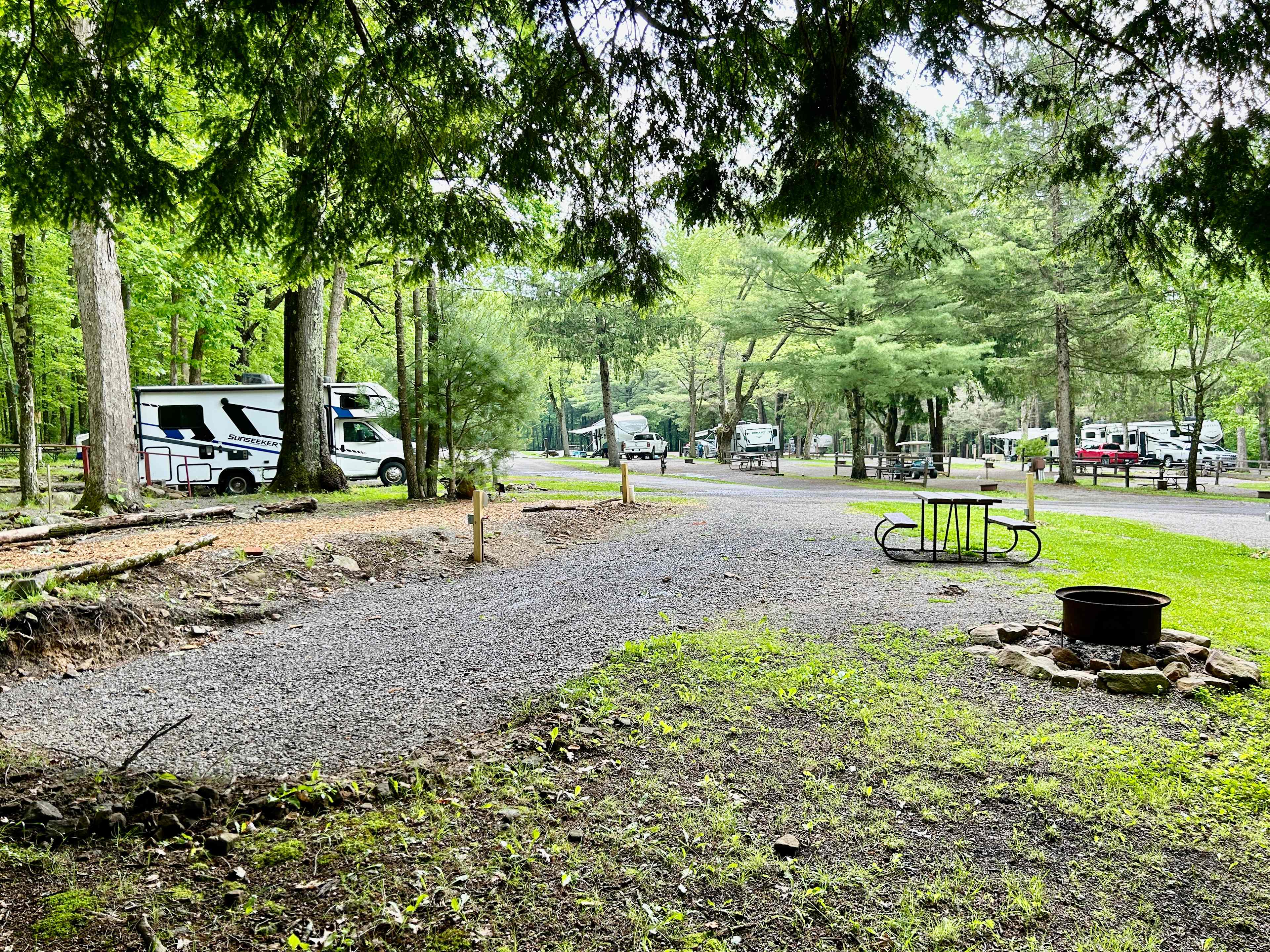 Picture of the site