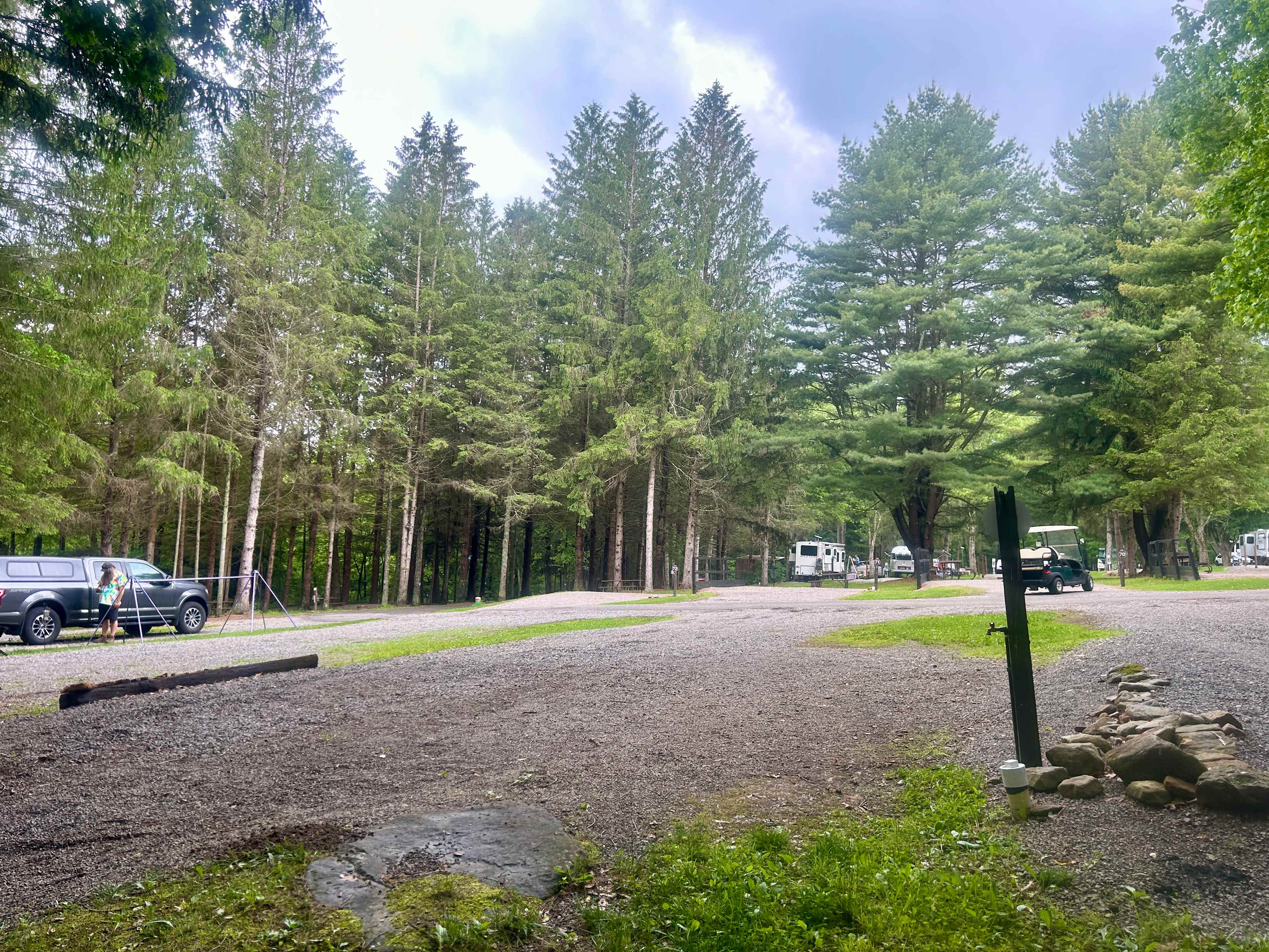 Picture of the site