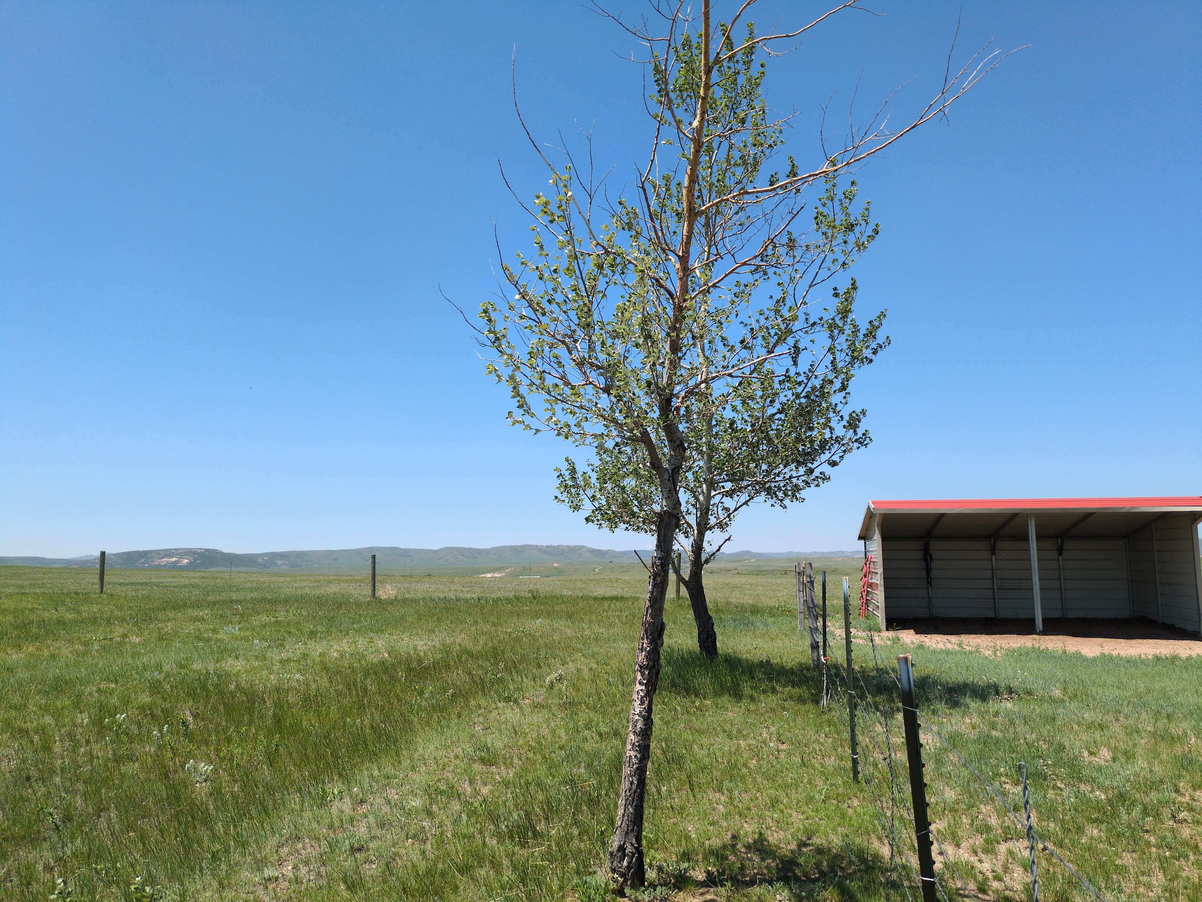Luckless Ridge