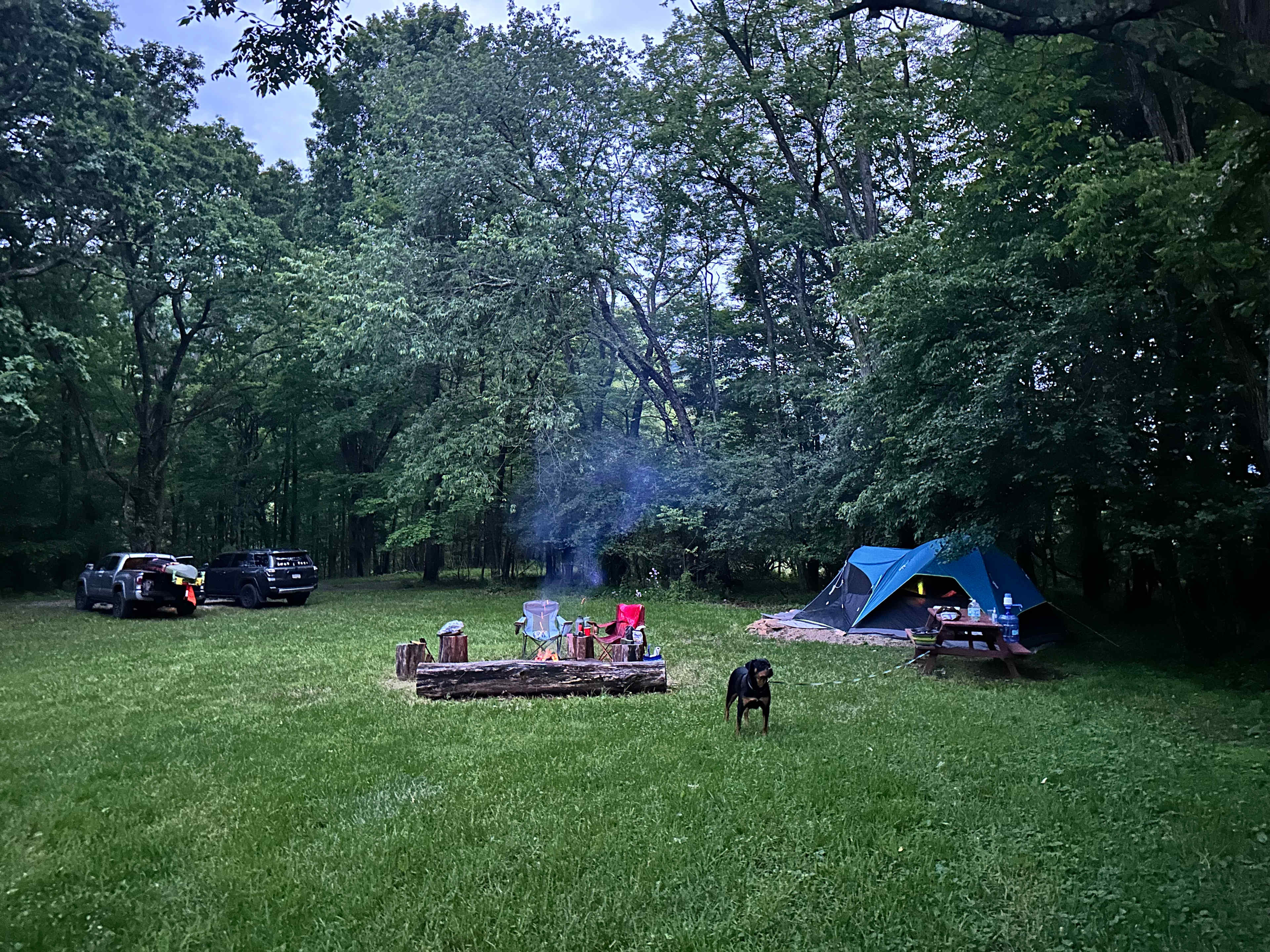 Apple Blossom Camp