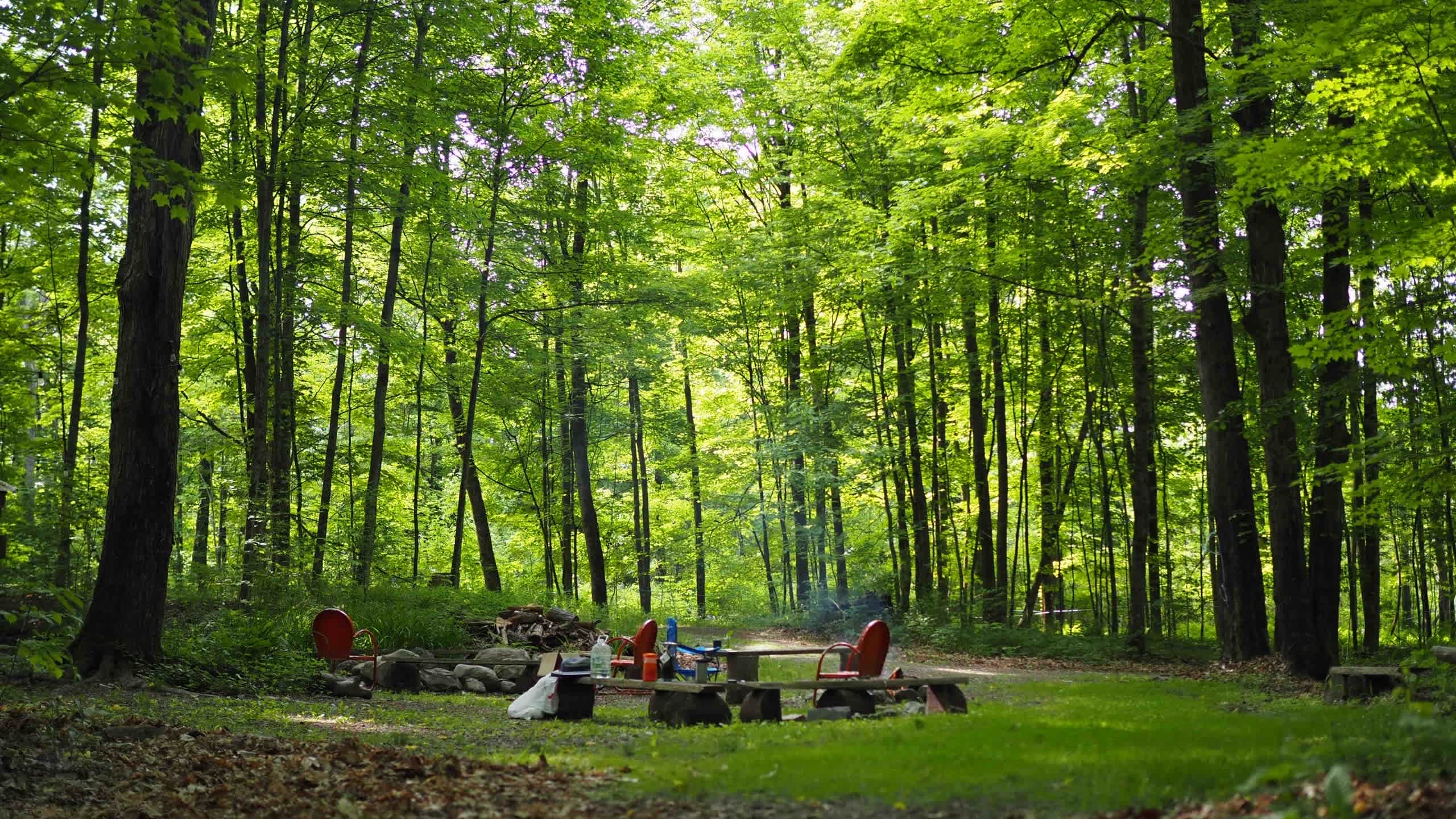 Meadow Lane Campground