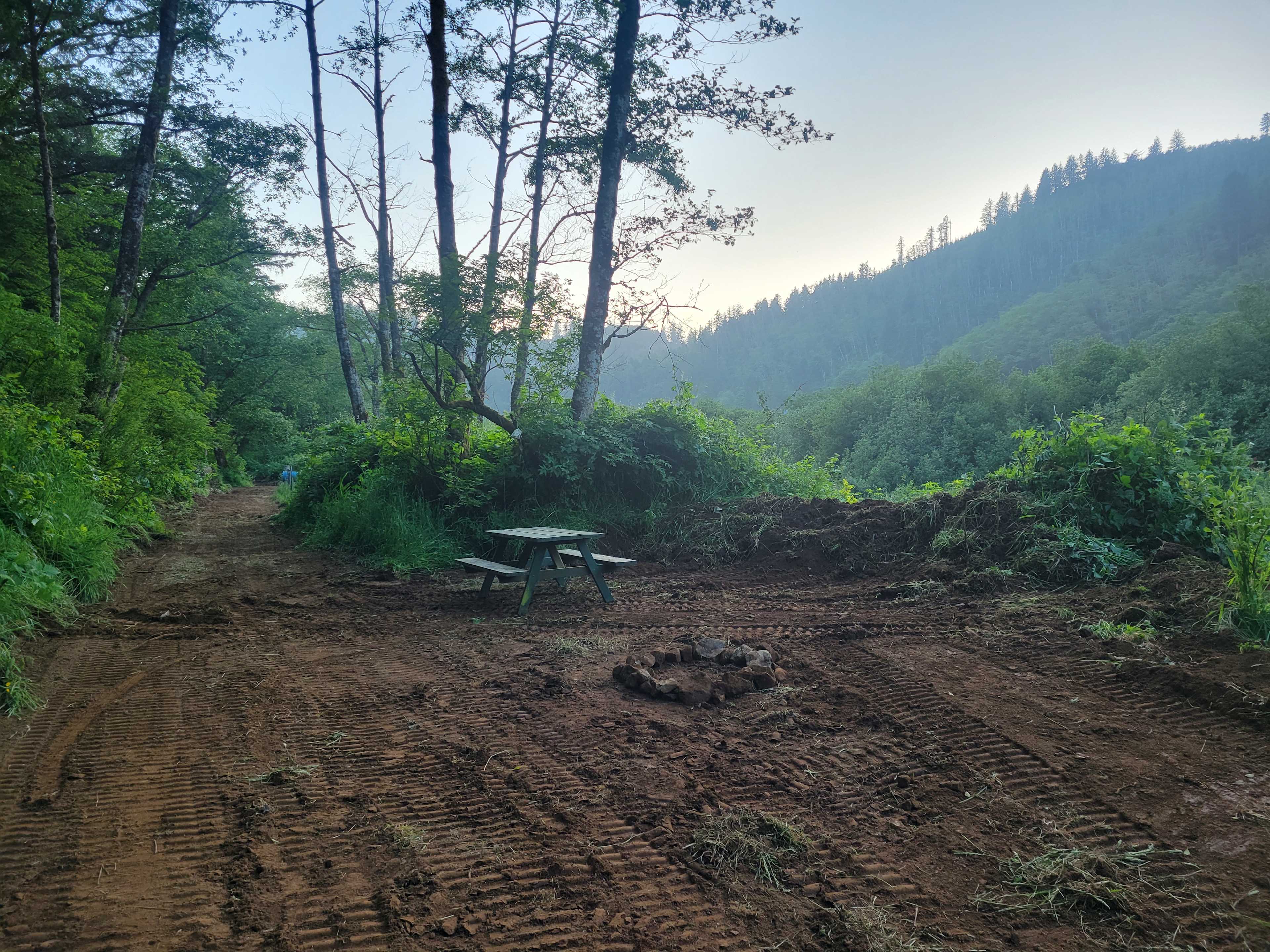 Picture of the site