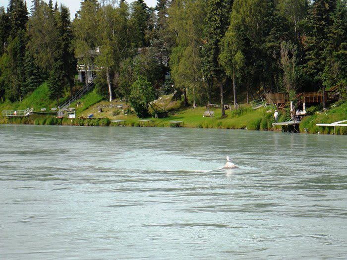 Edgewater Lodge and RV Park