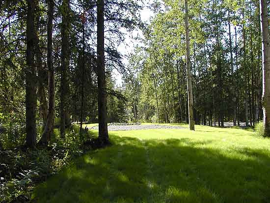 Real Alaskan Cabins and RV Park