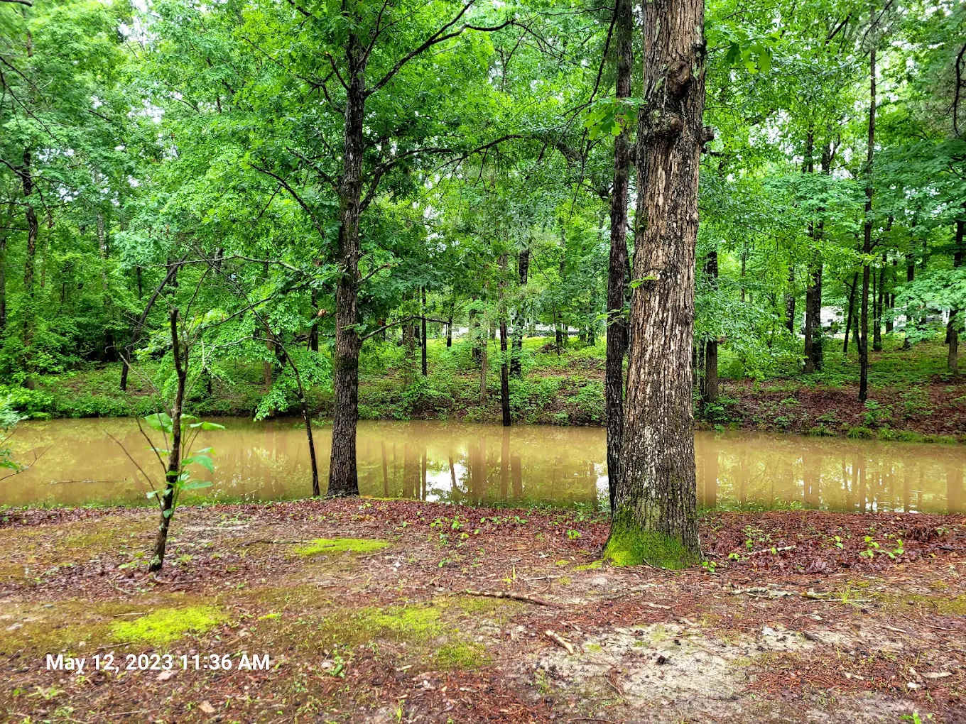 Cherokee Lakes RV Park