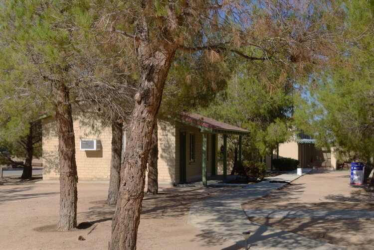 Lone Wolf Colony