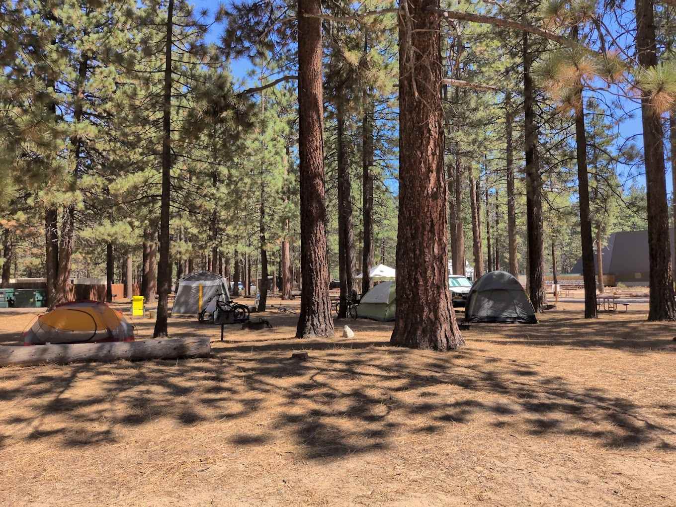 Campground by the Lake