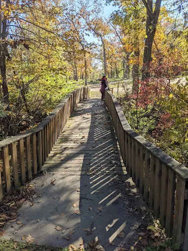 Fontana County Park