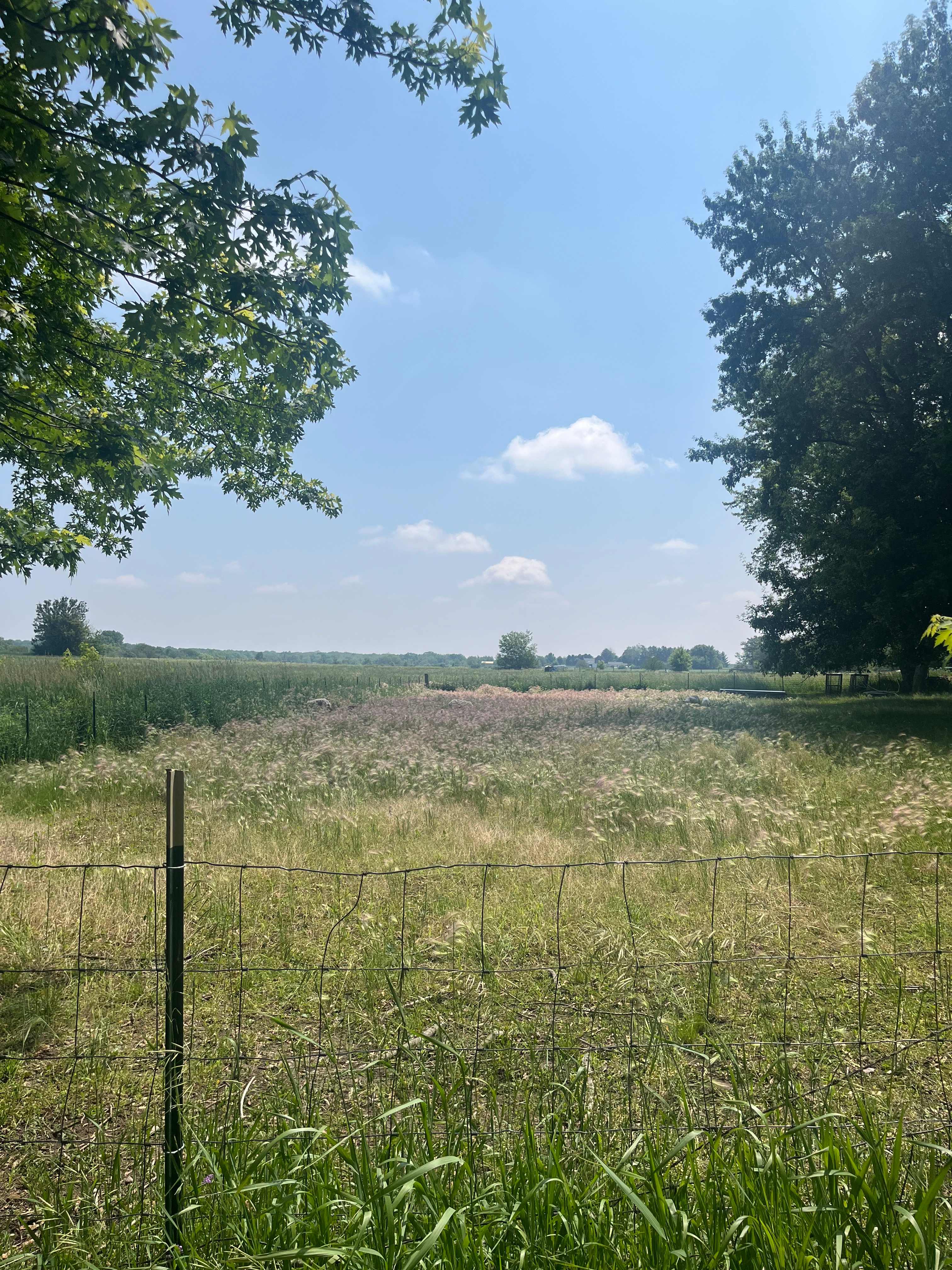 Daisy’s Farms On Notalotta Acers