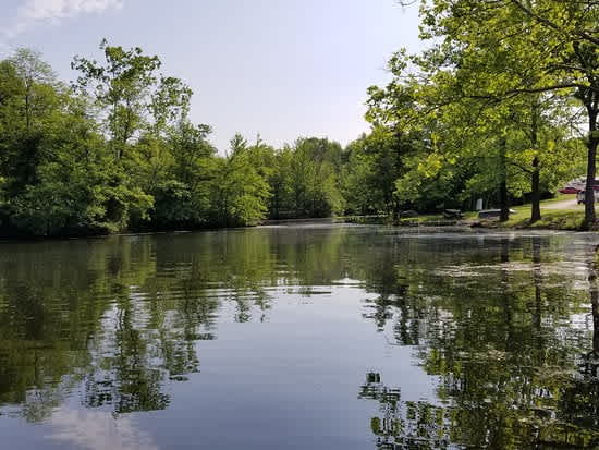 Lynnville Park