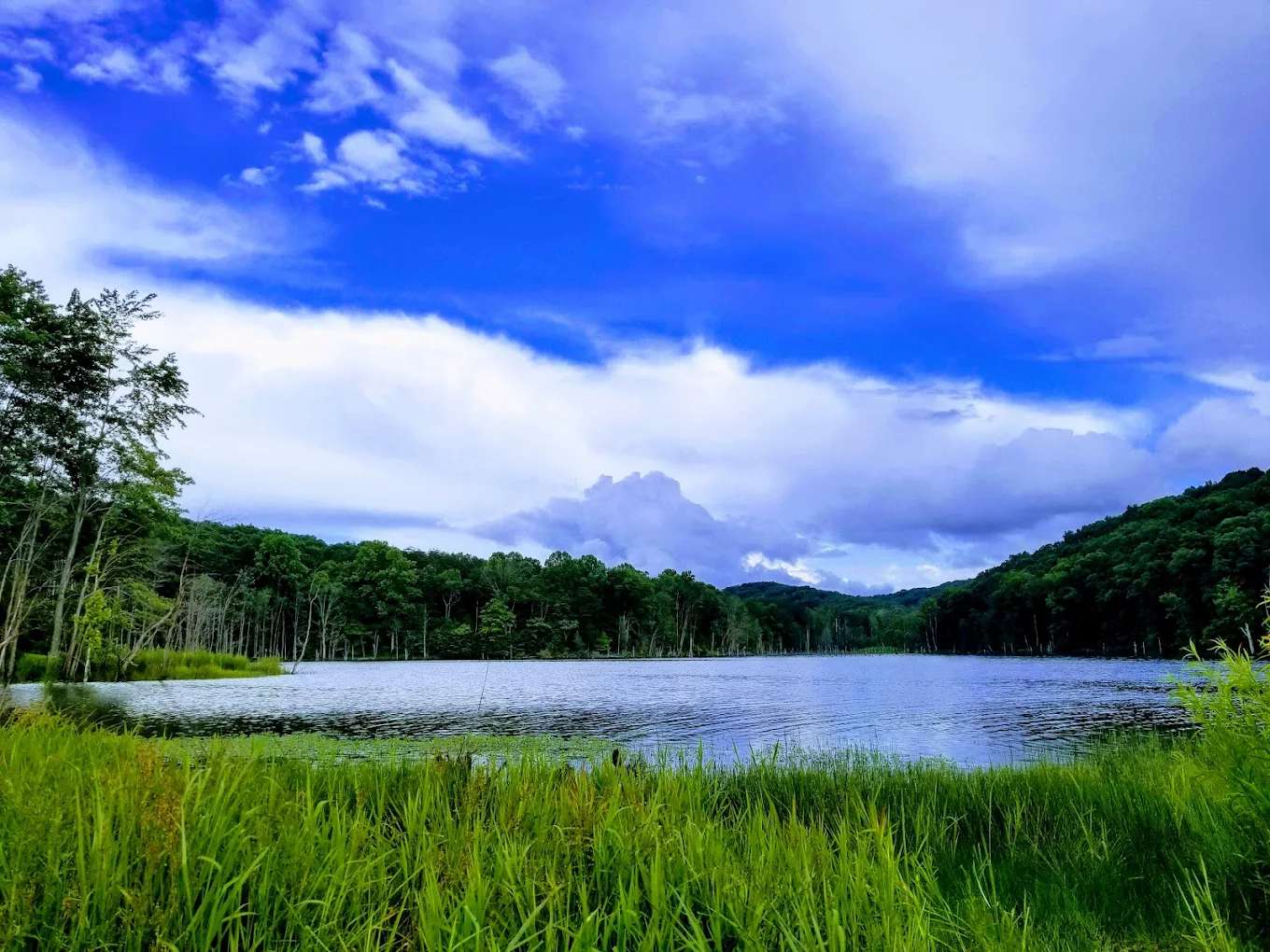 Delaney Creek Park