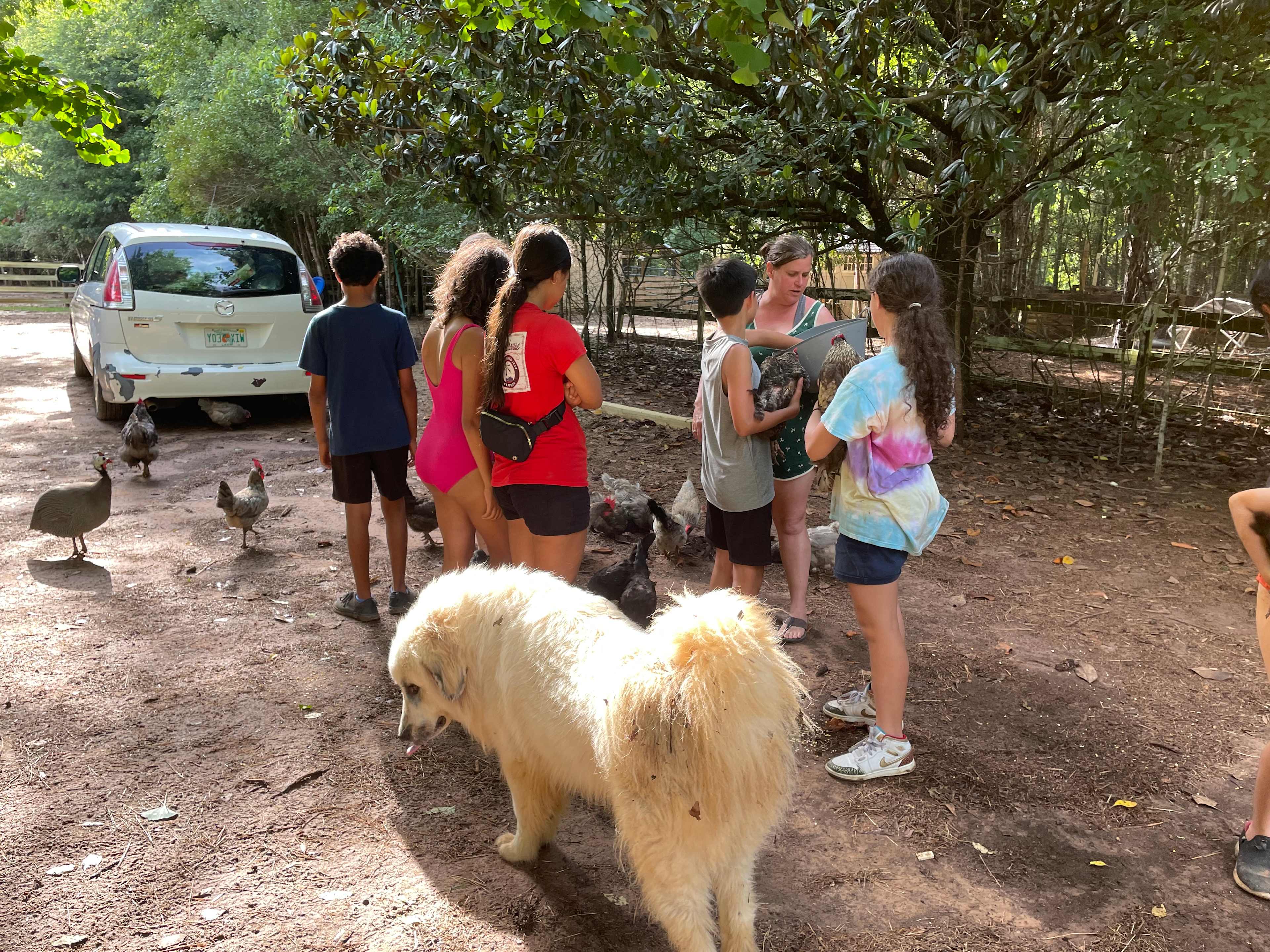 SandyLand Farmstay GlampingTherapy