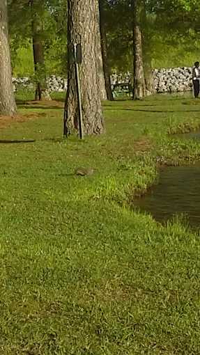 Whites Creek Lake County Campground