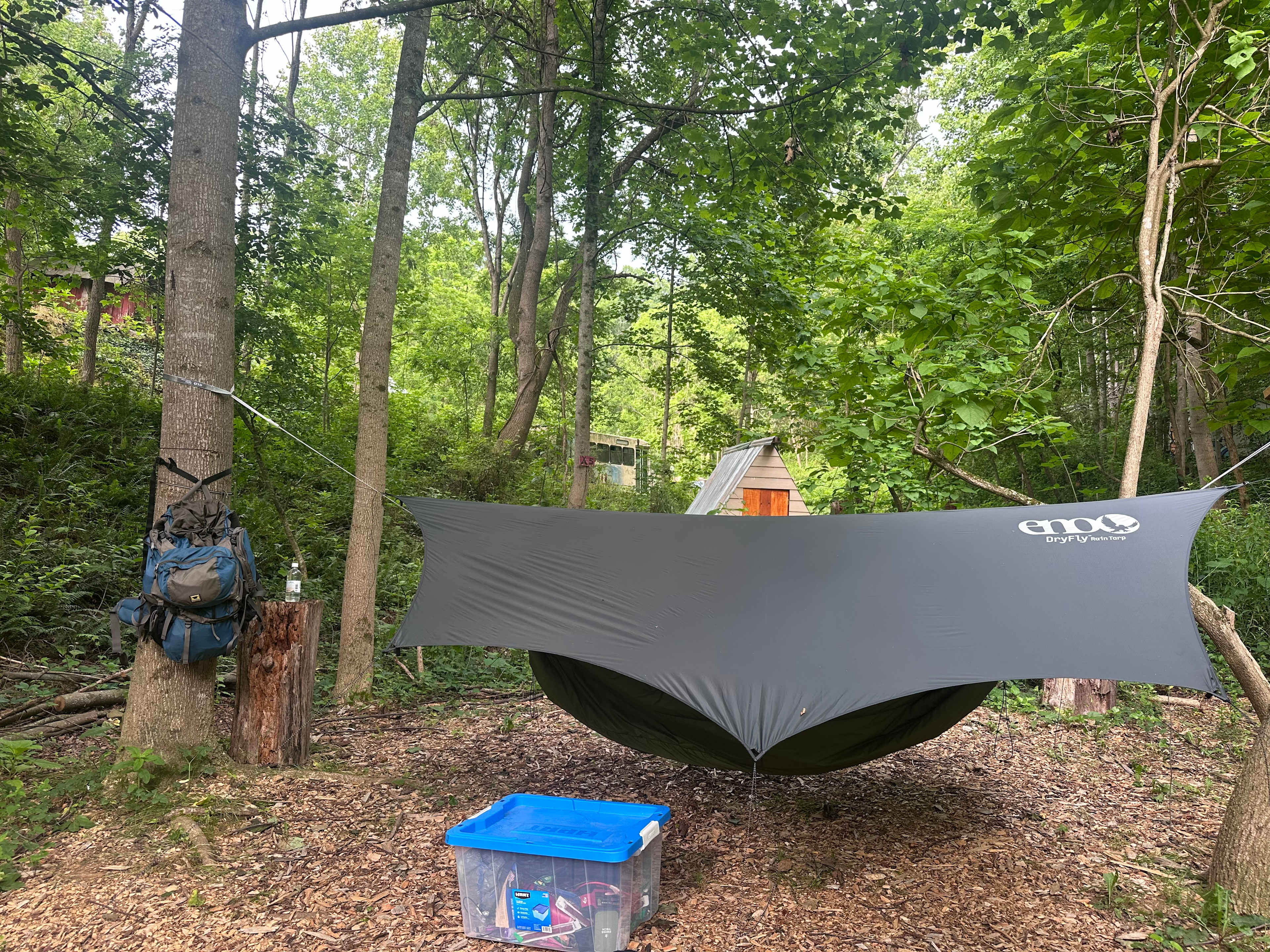 Hammock Hang Site