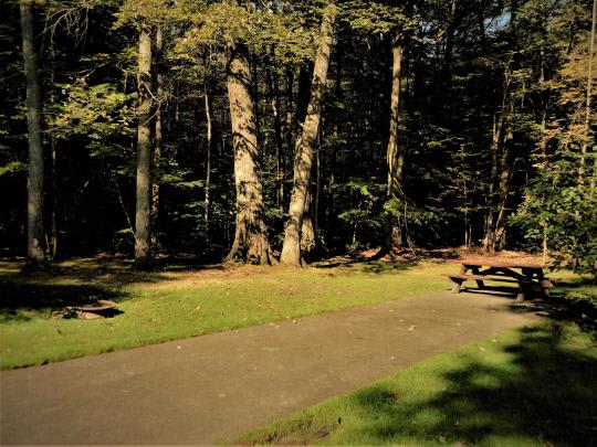 Greenwood Park
