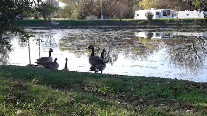 Twin Lakes RV Park