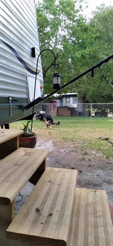 Cedar Pond Campground