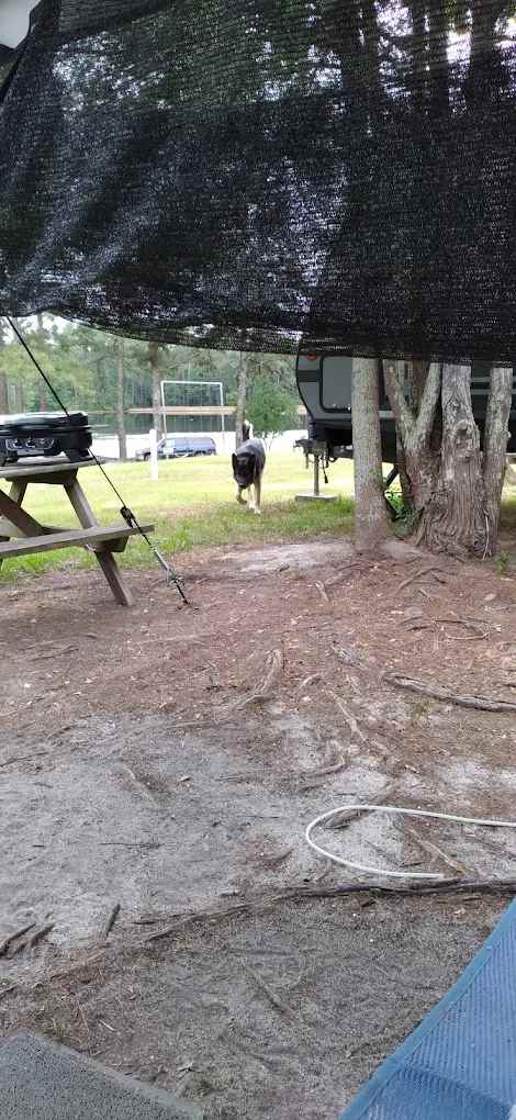 Cedar Pond Campground