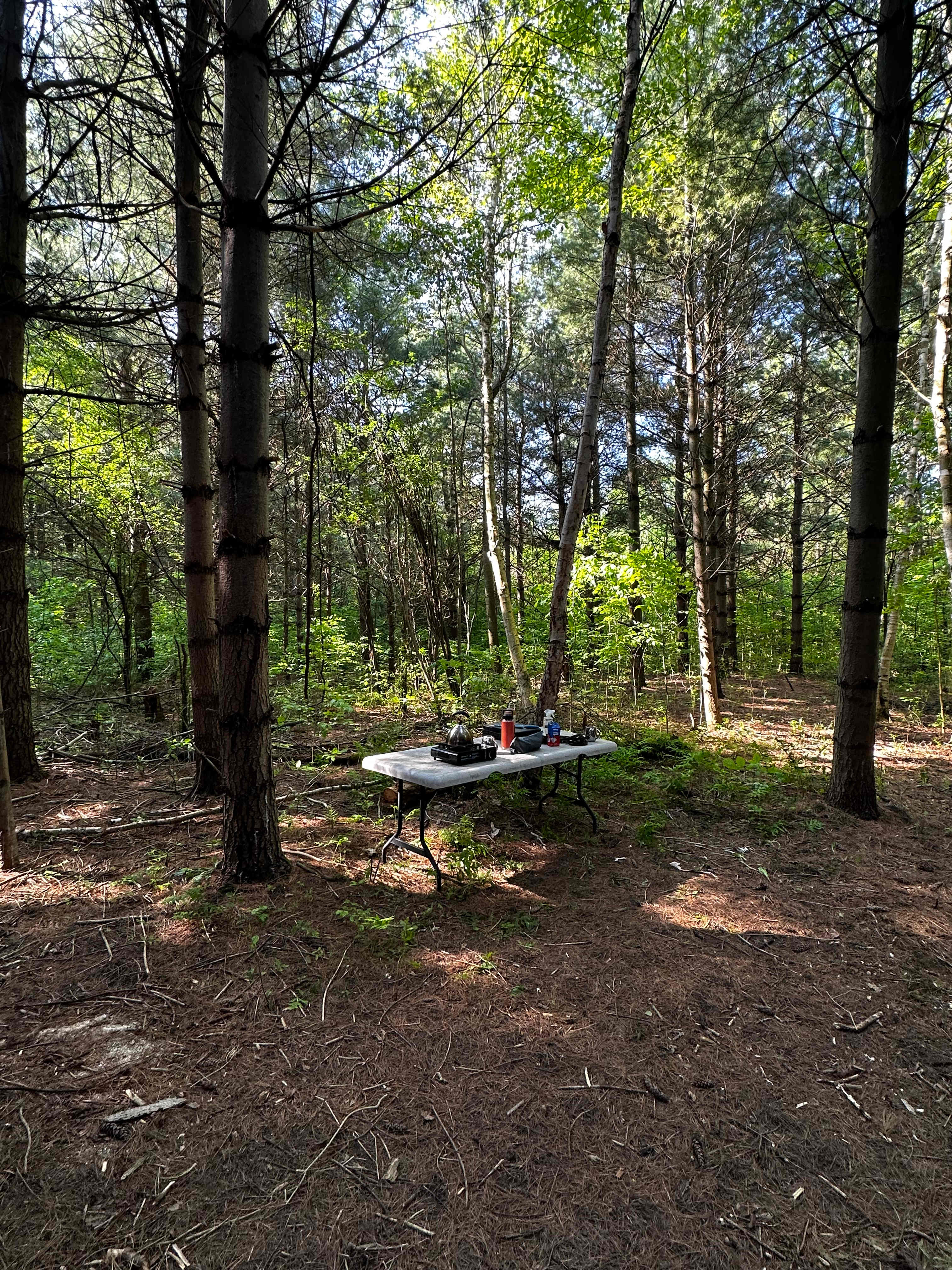 White Pine Forest Farm