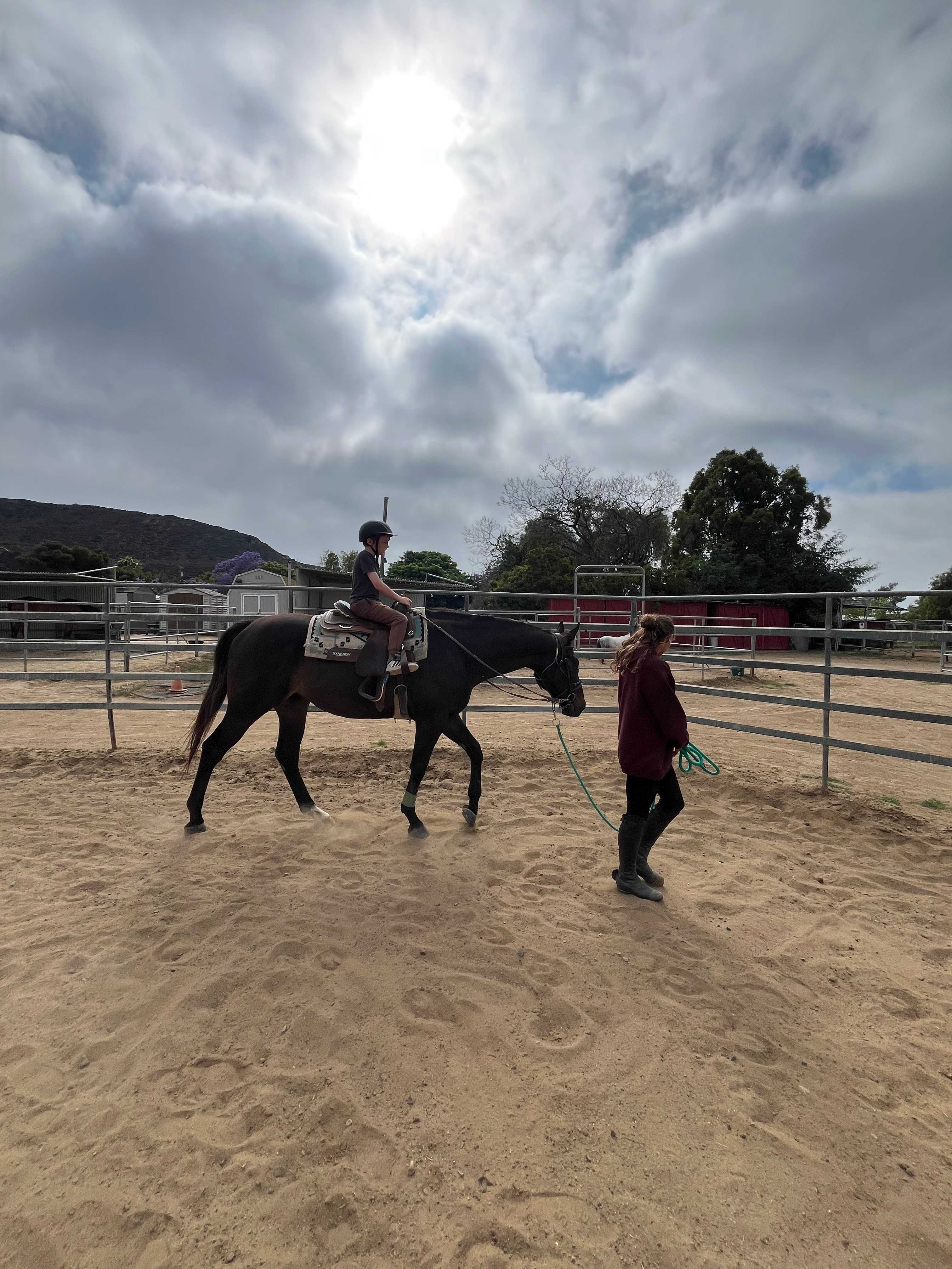 D&J Stables
