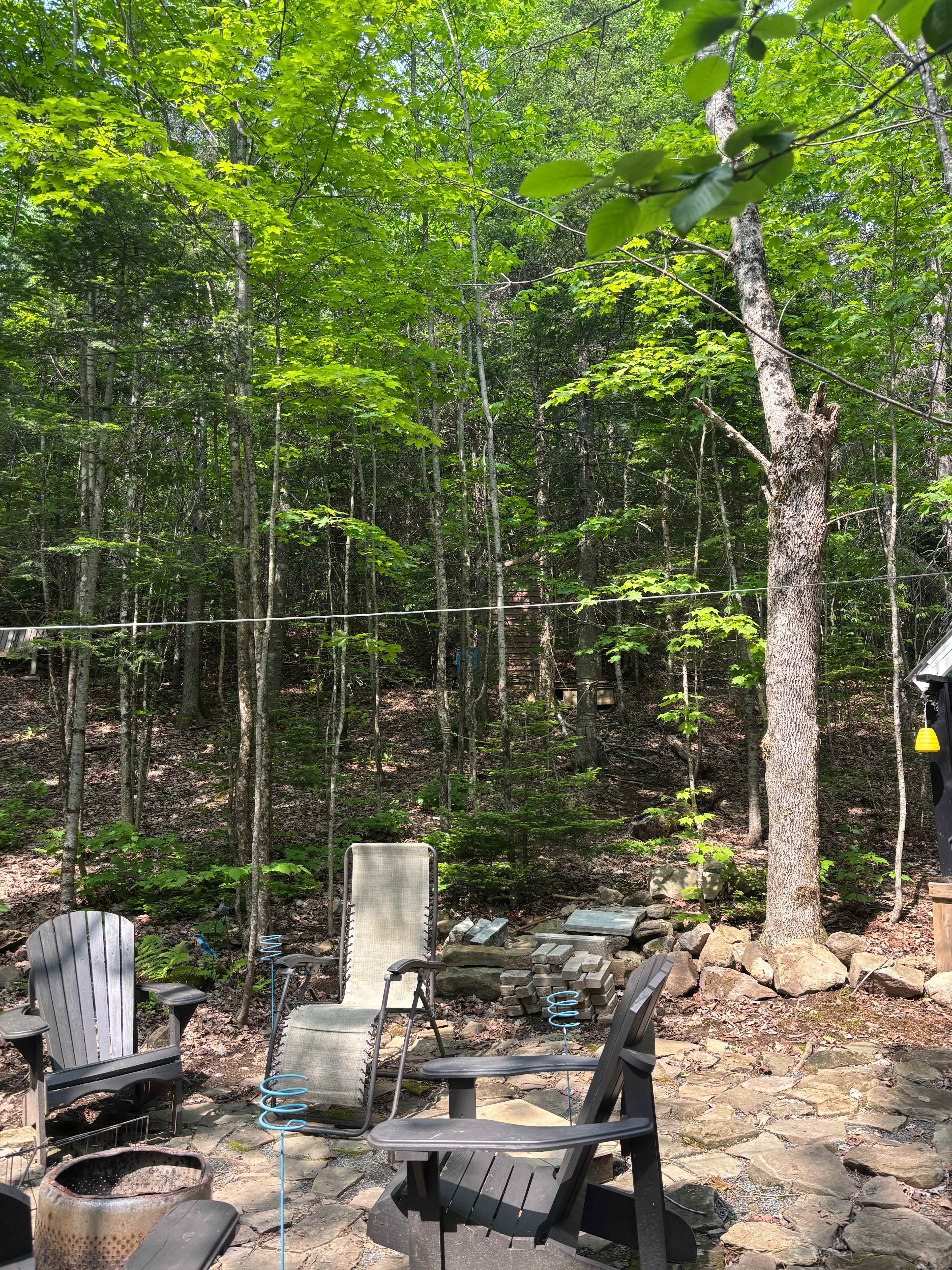 Cedar Camp Ridge