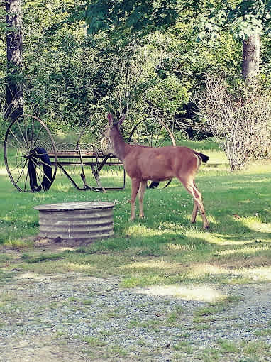 Glacier Peak Resort, Rv Park & Winery!