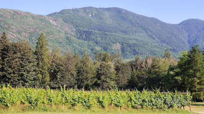 Glacier Peak Resort, Rv Park & Winery!