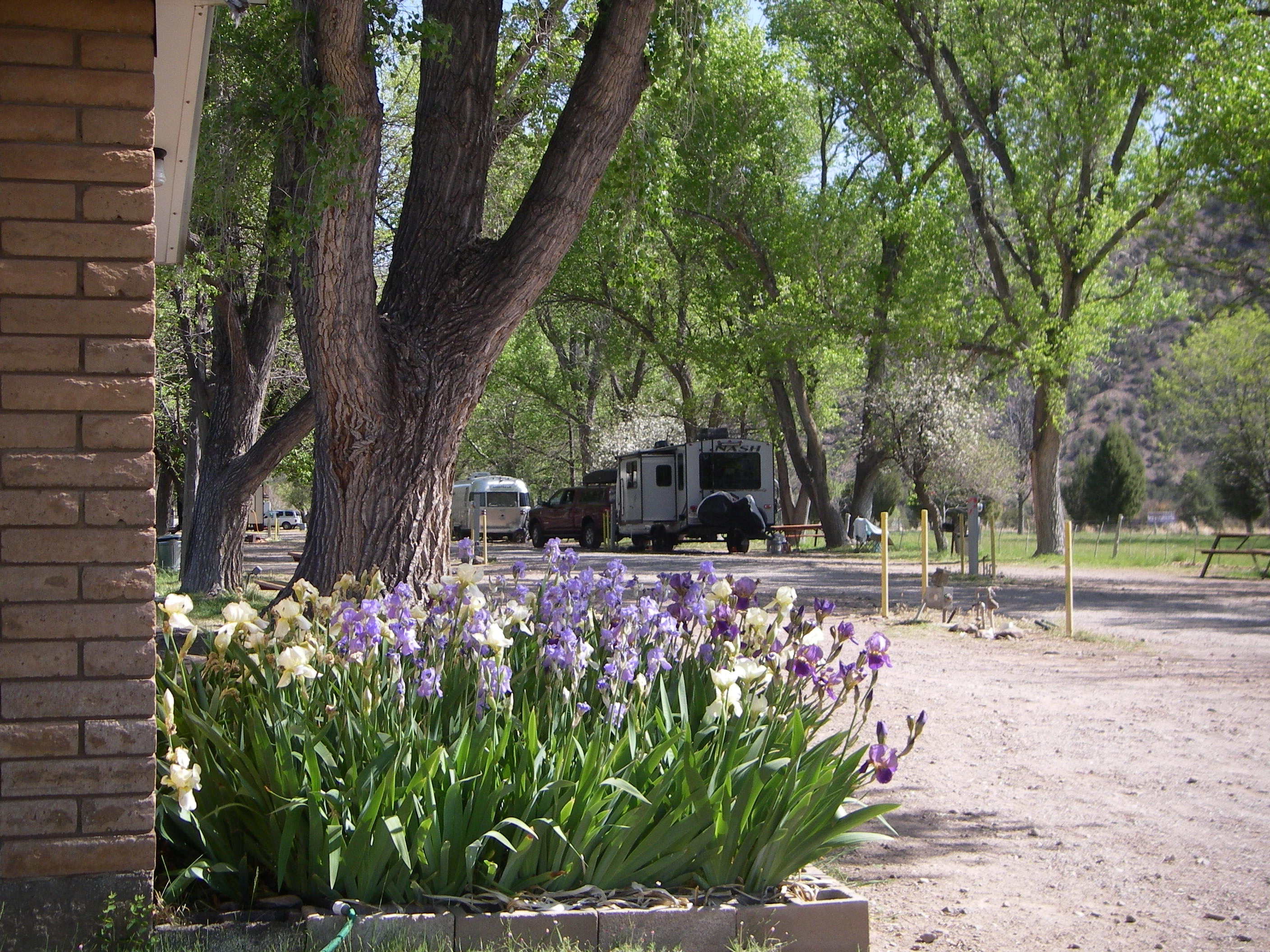 Gila Hot Springs Ranch