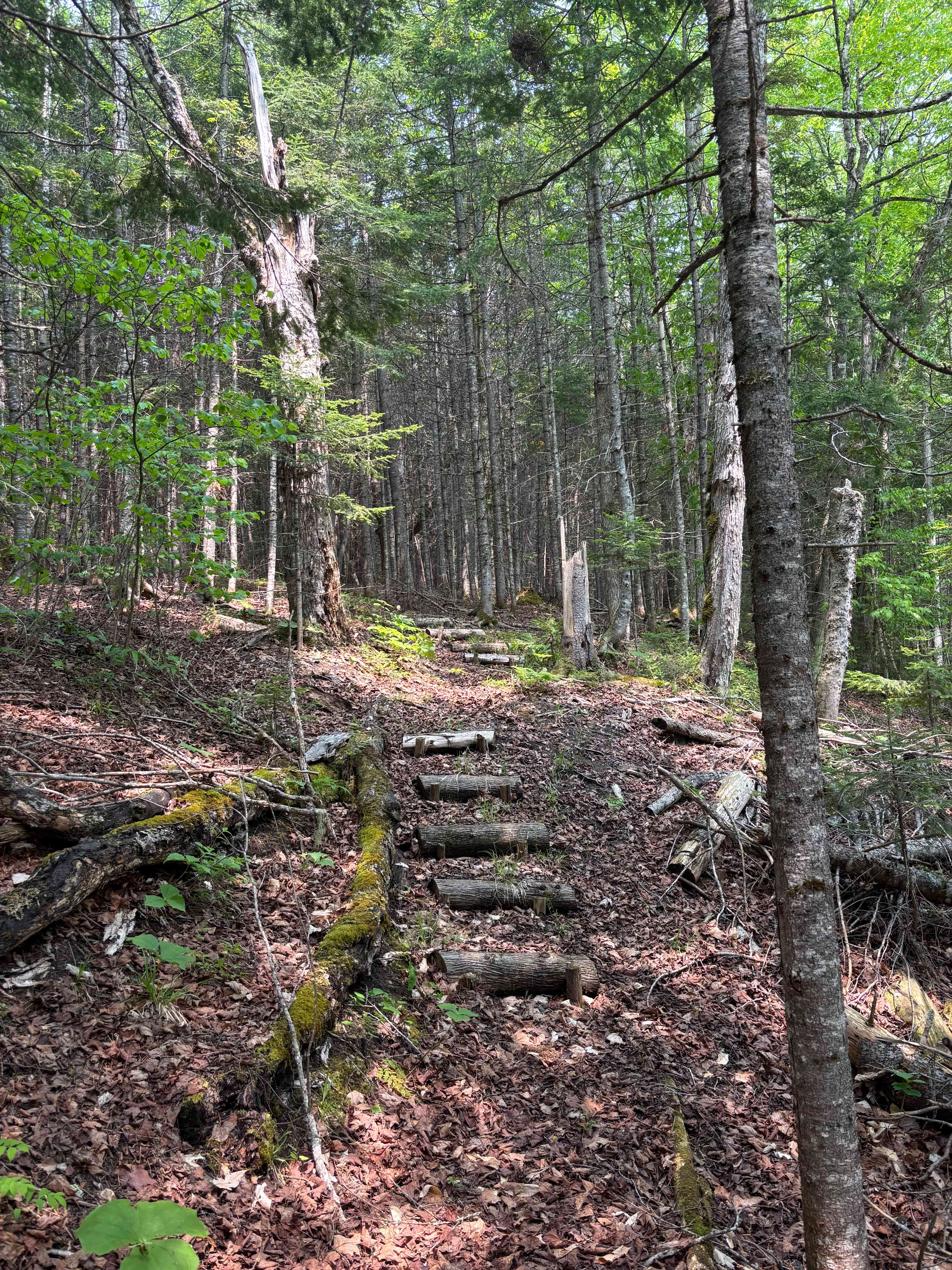 Othala Viking Homestead