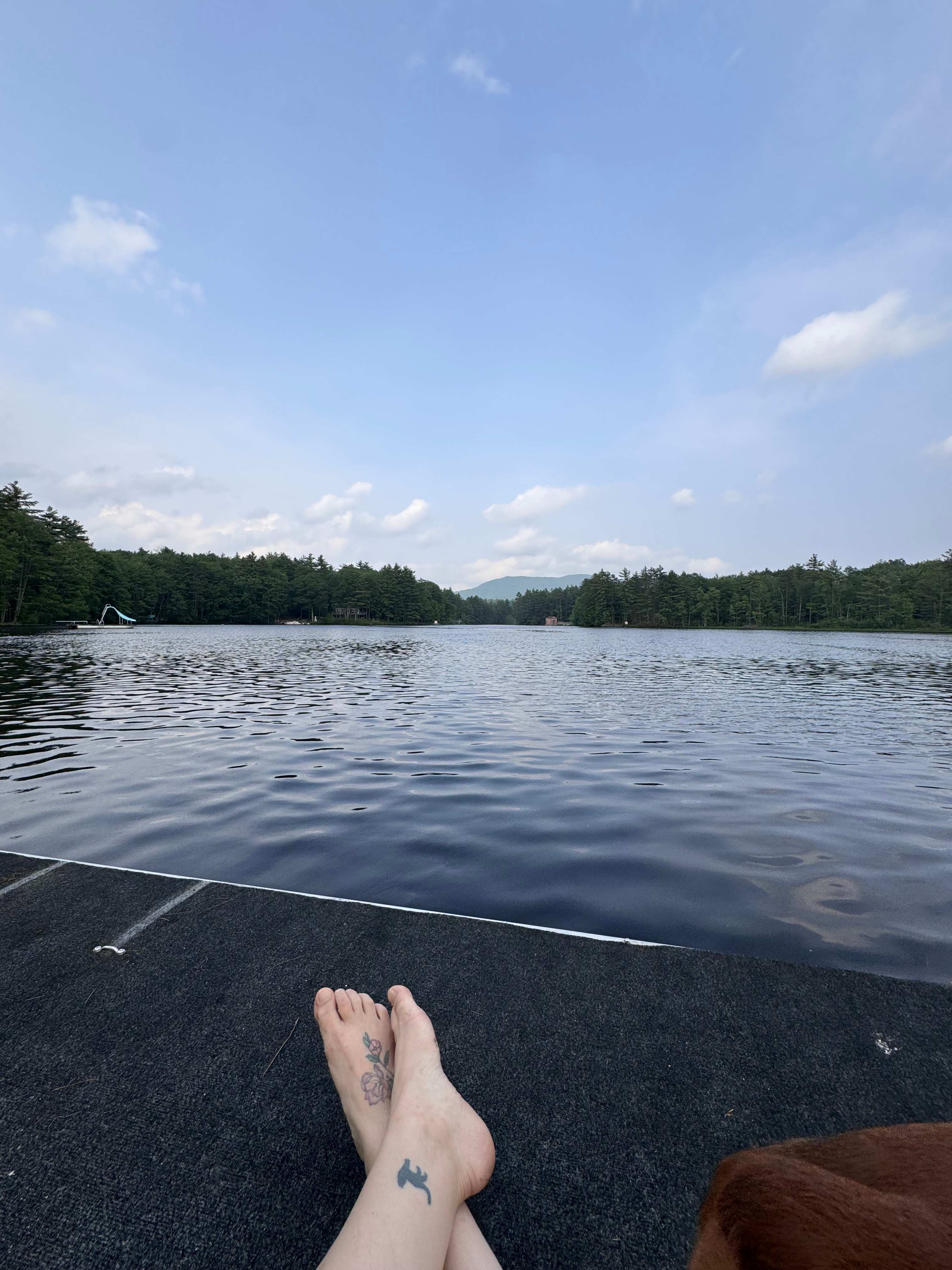 Waterfront Woodsy Glamping
