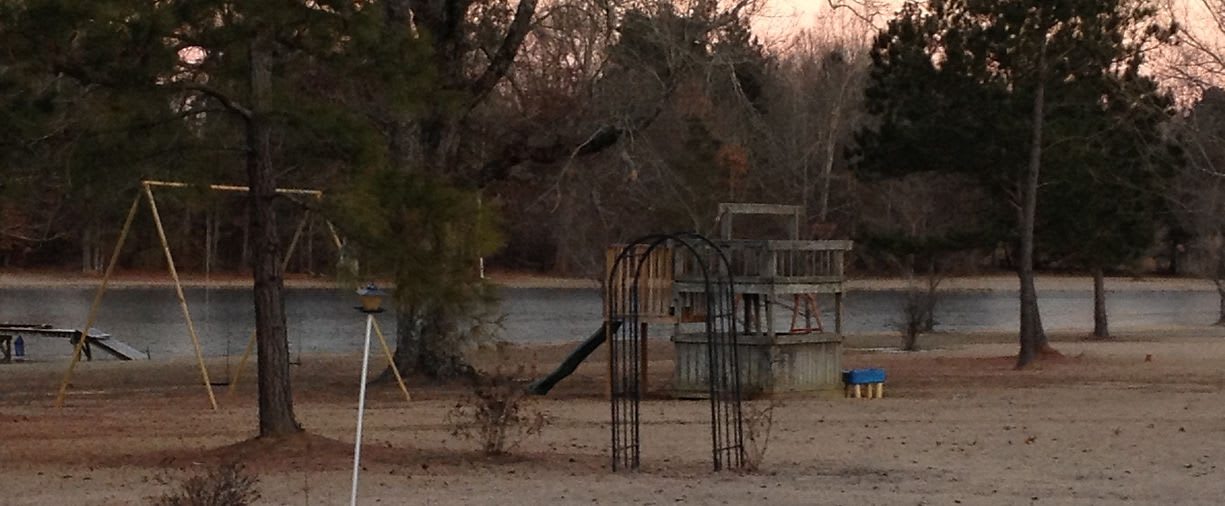 Country Dogs RV Park
