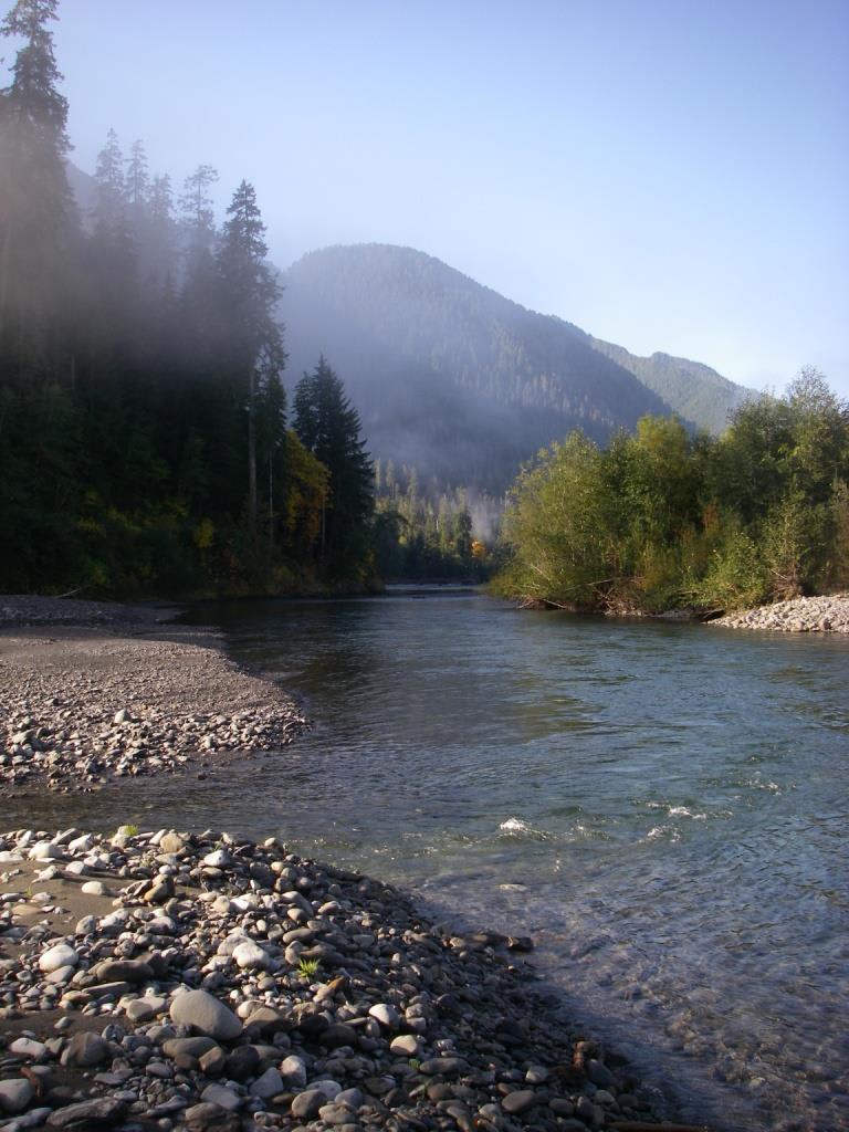 Quinalt River Inn