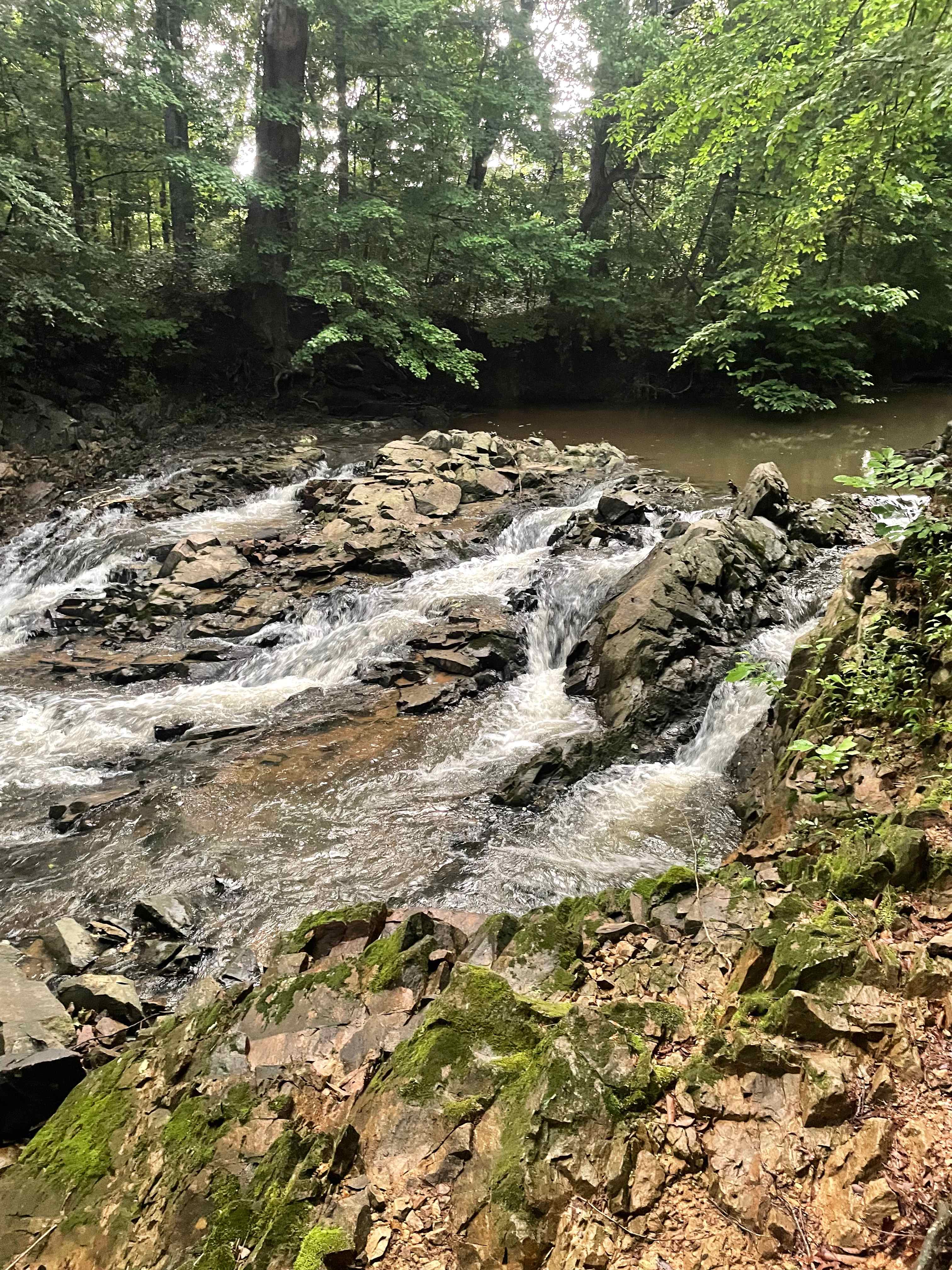 Exploring the creek