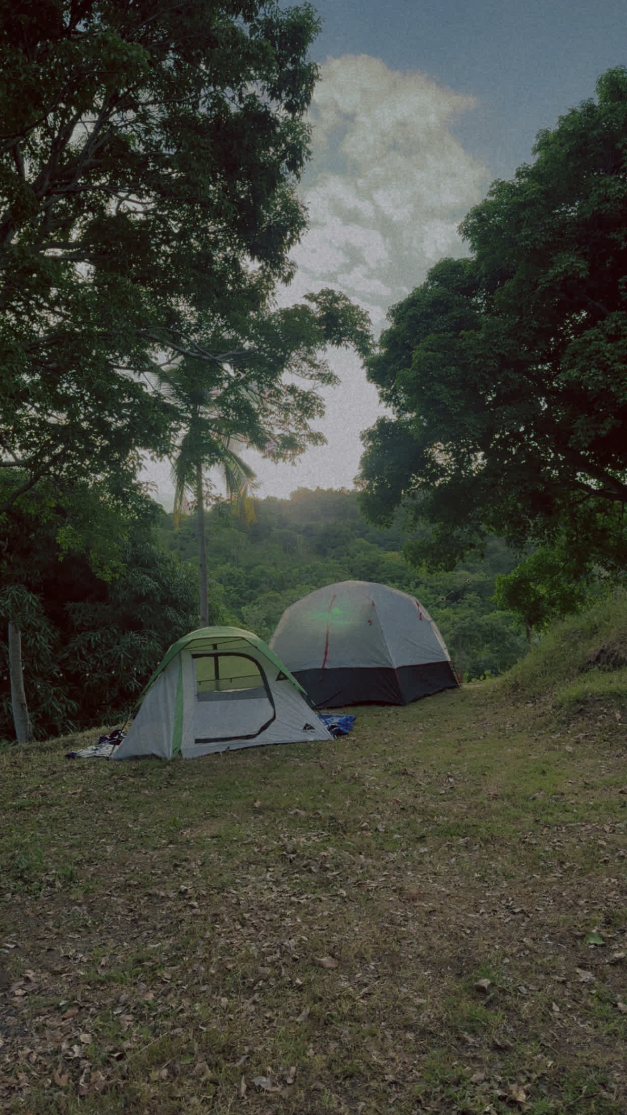 Finca Virginia ⛺️ Cabo Rojo