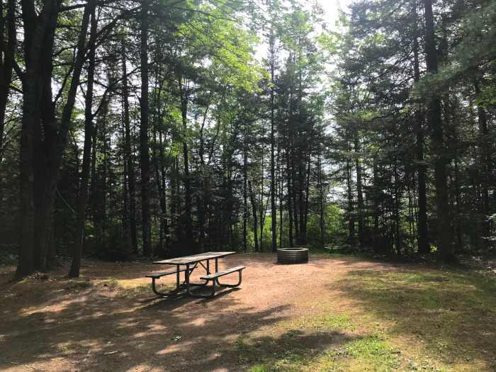 Little Lake State Forest Campground