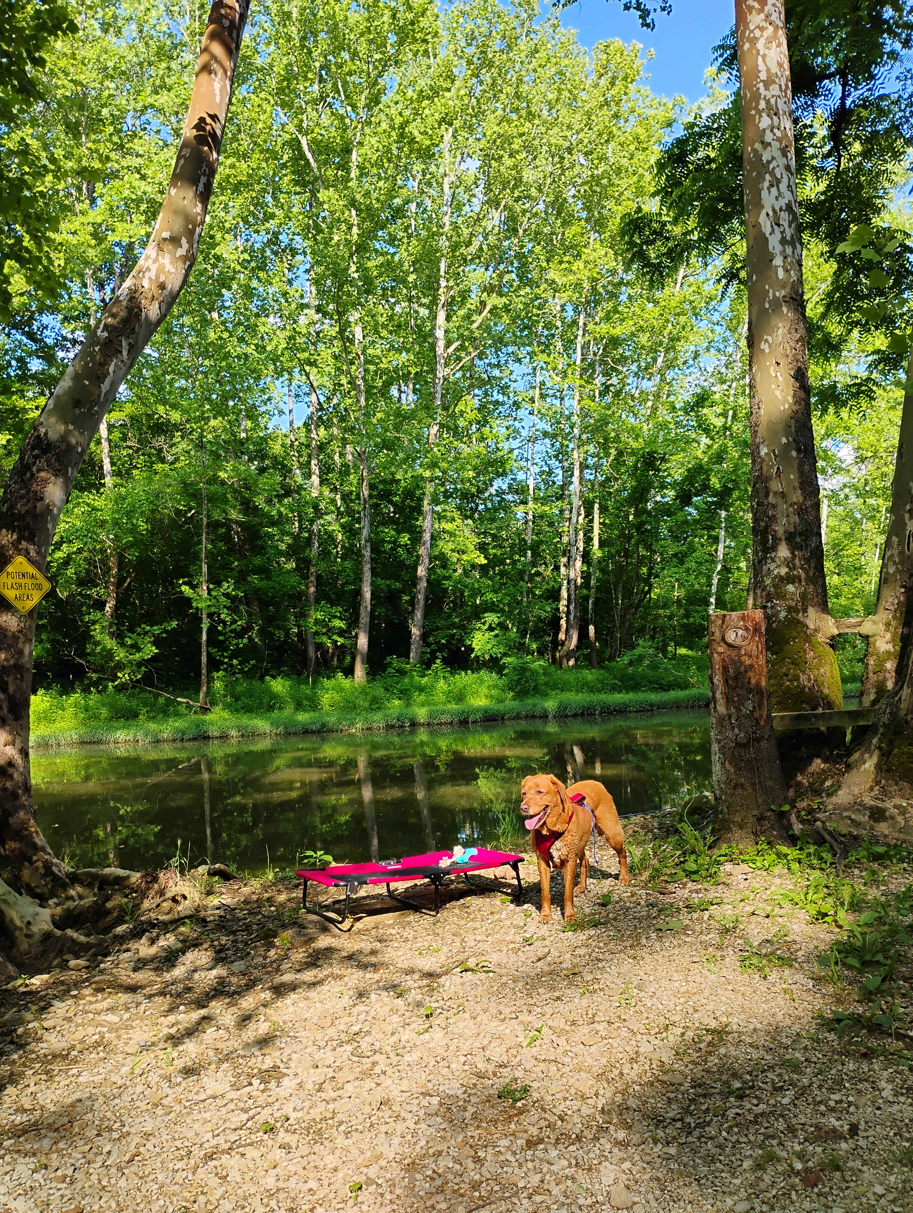 Hones Pointe Campground