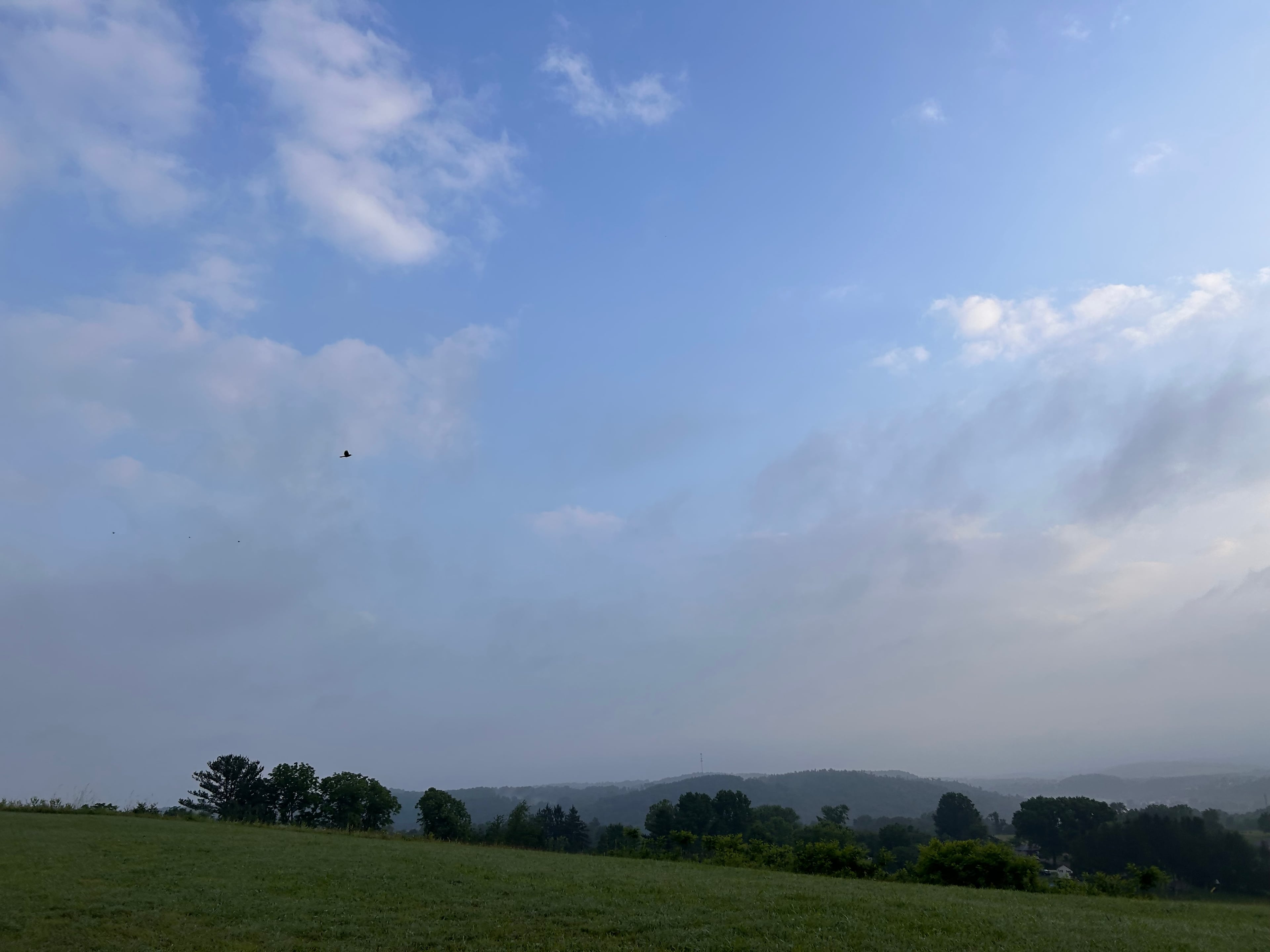 Laurel Highlands Cannabis
