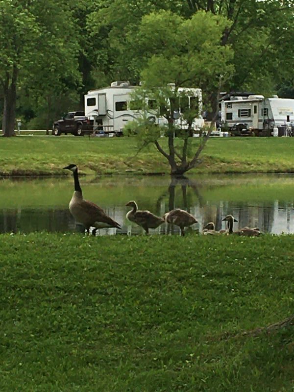 Friends O' Mine Campground & Cabins