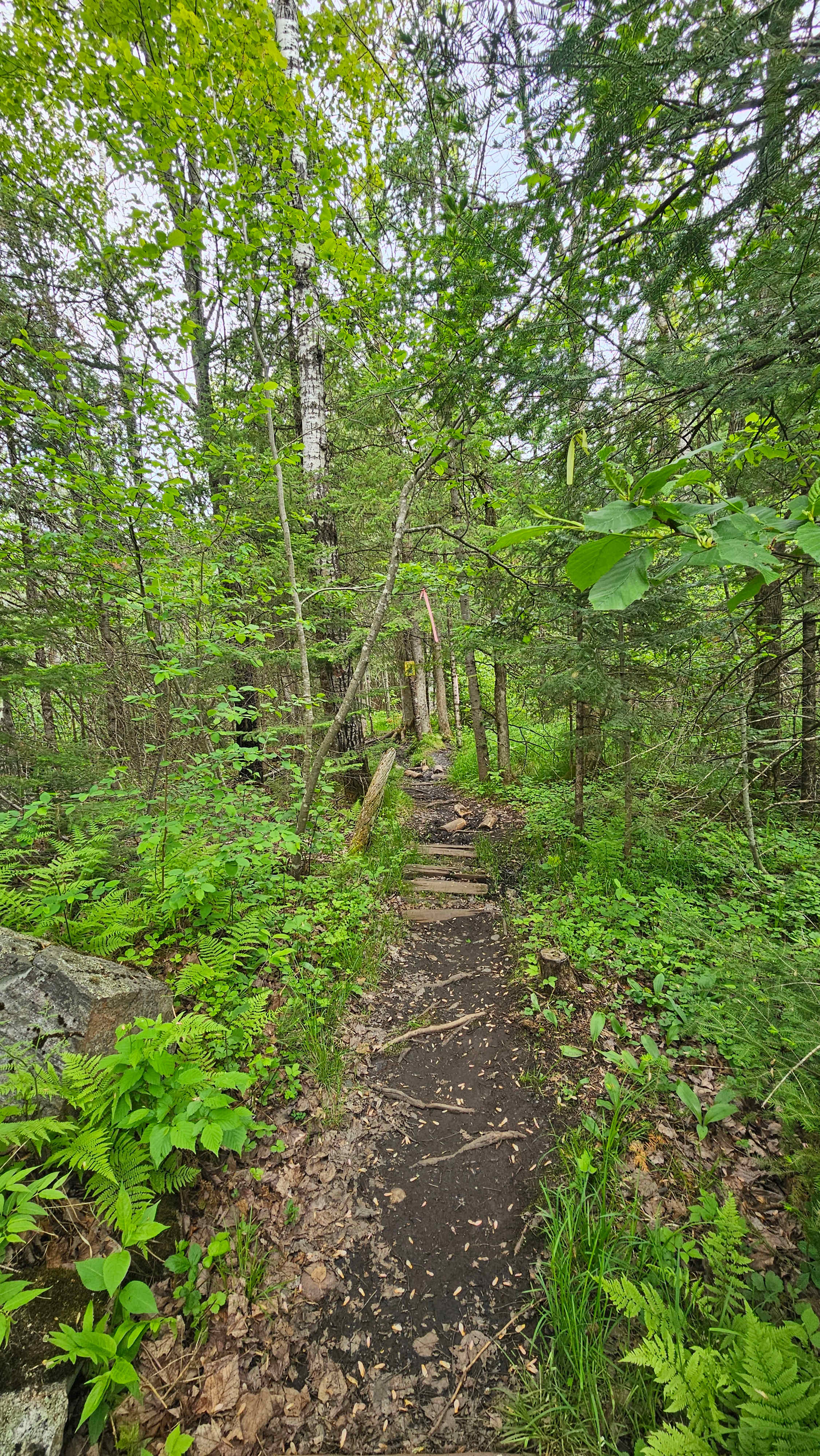 Hike in