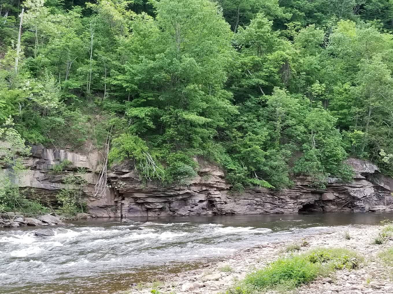 Shavers Fork Campground
