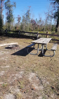 Longleaf Campsite at Walsingham Campgrounds