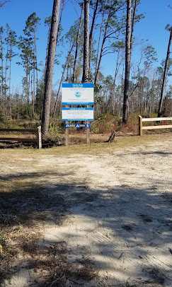 Longleaf Campsite at Walsingham Campgrounds