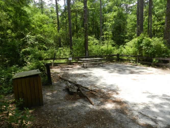 Longleaf Campsite at Walsingham Campgrounds