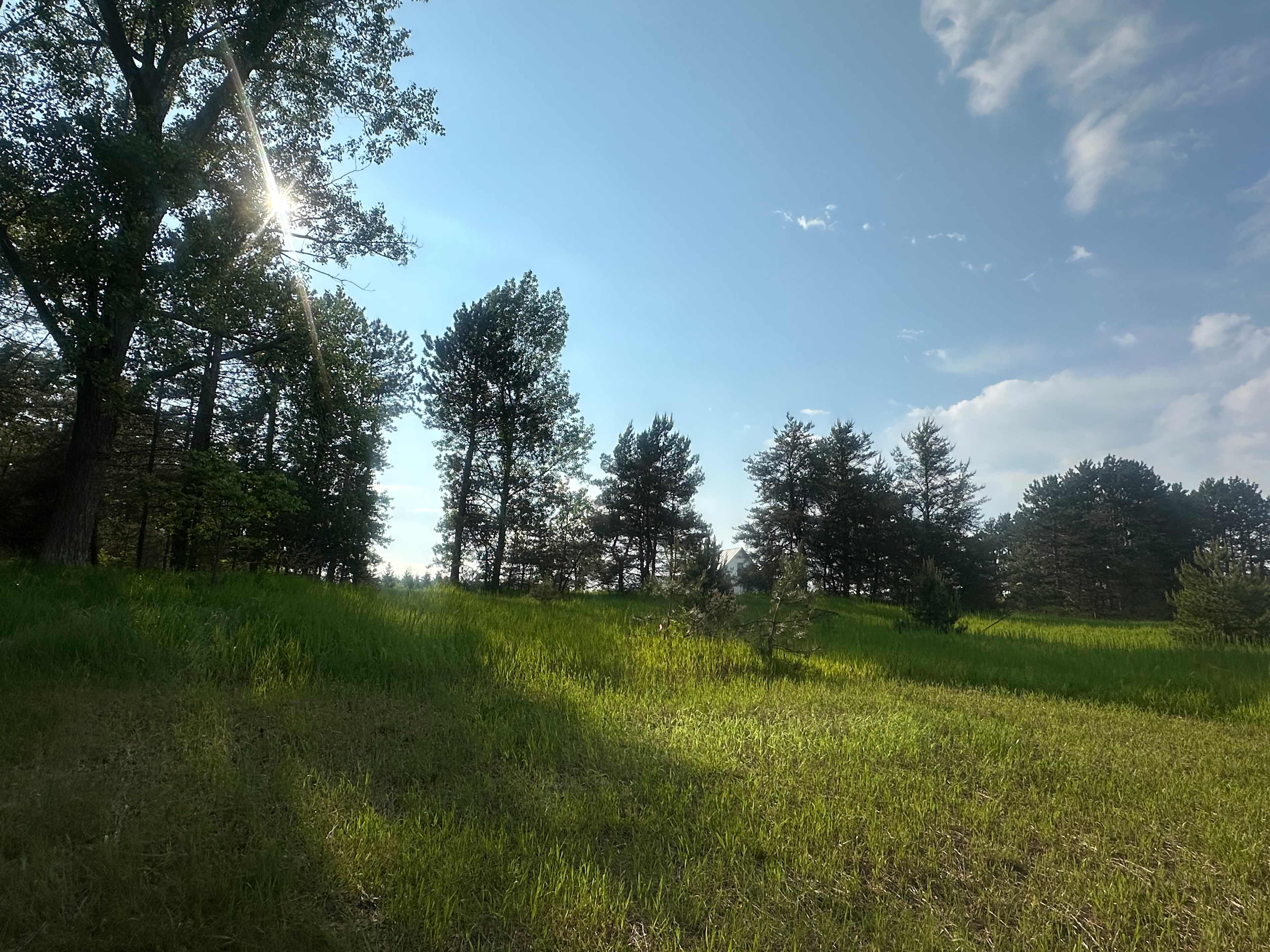Trailer Meadow