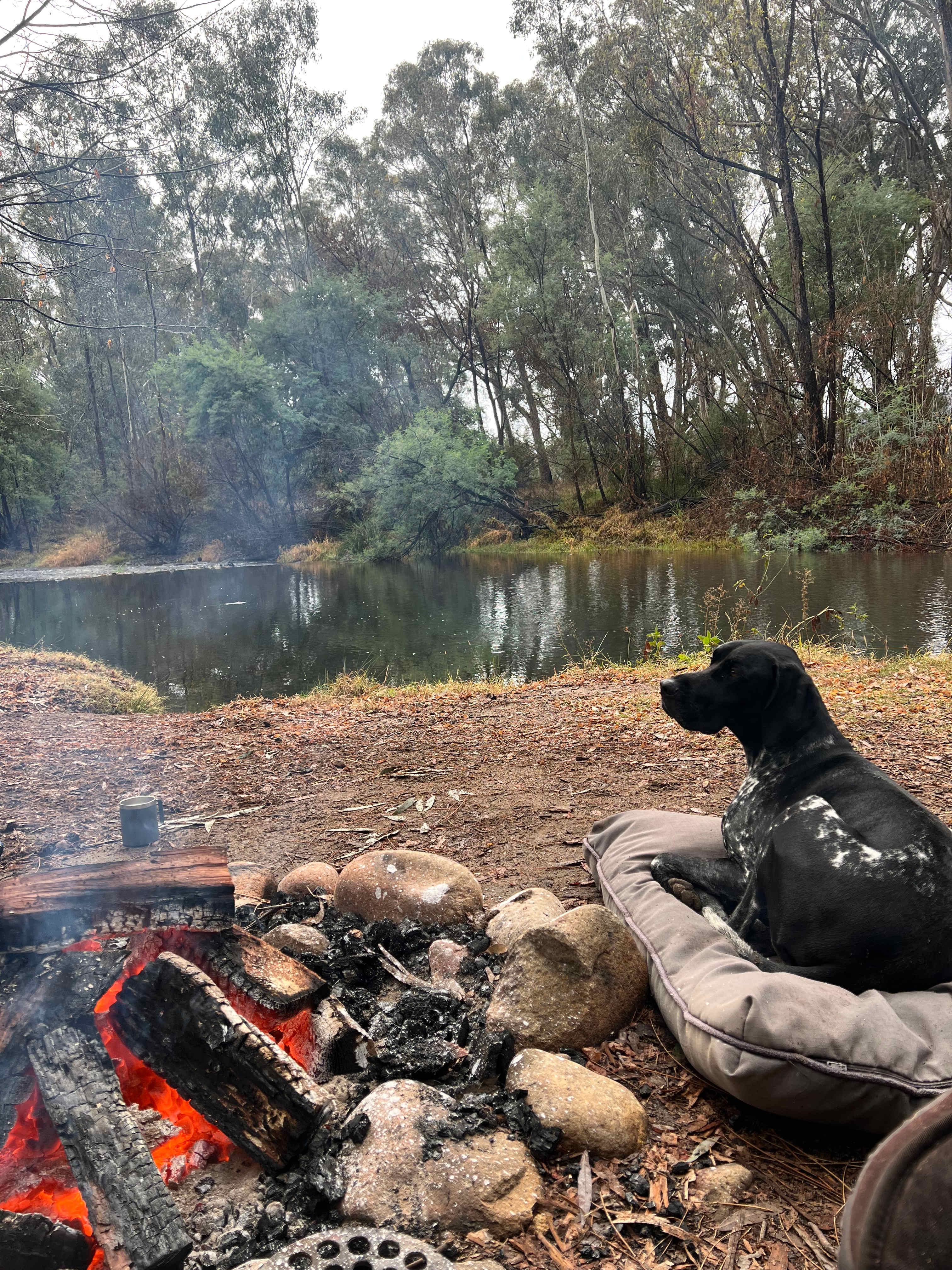 Riverside King Valley