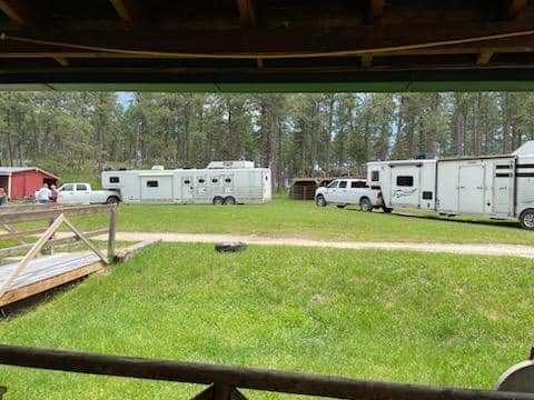 TC Horse Camp