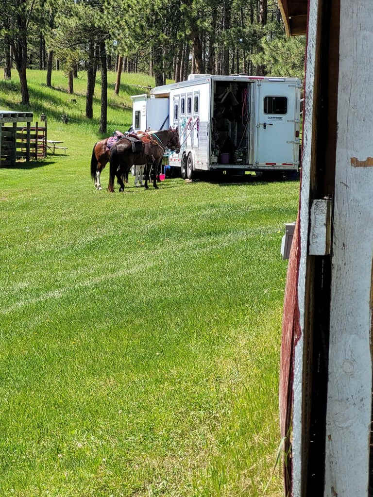 TC Horse Camp