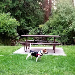 Woodland RV Park