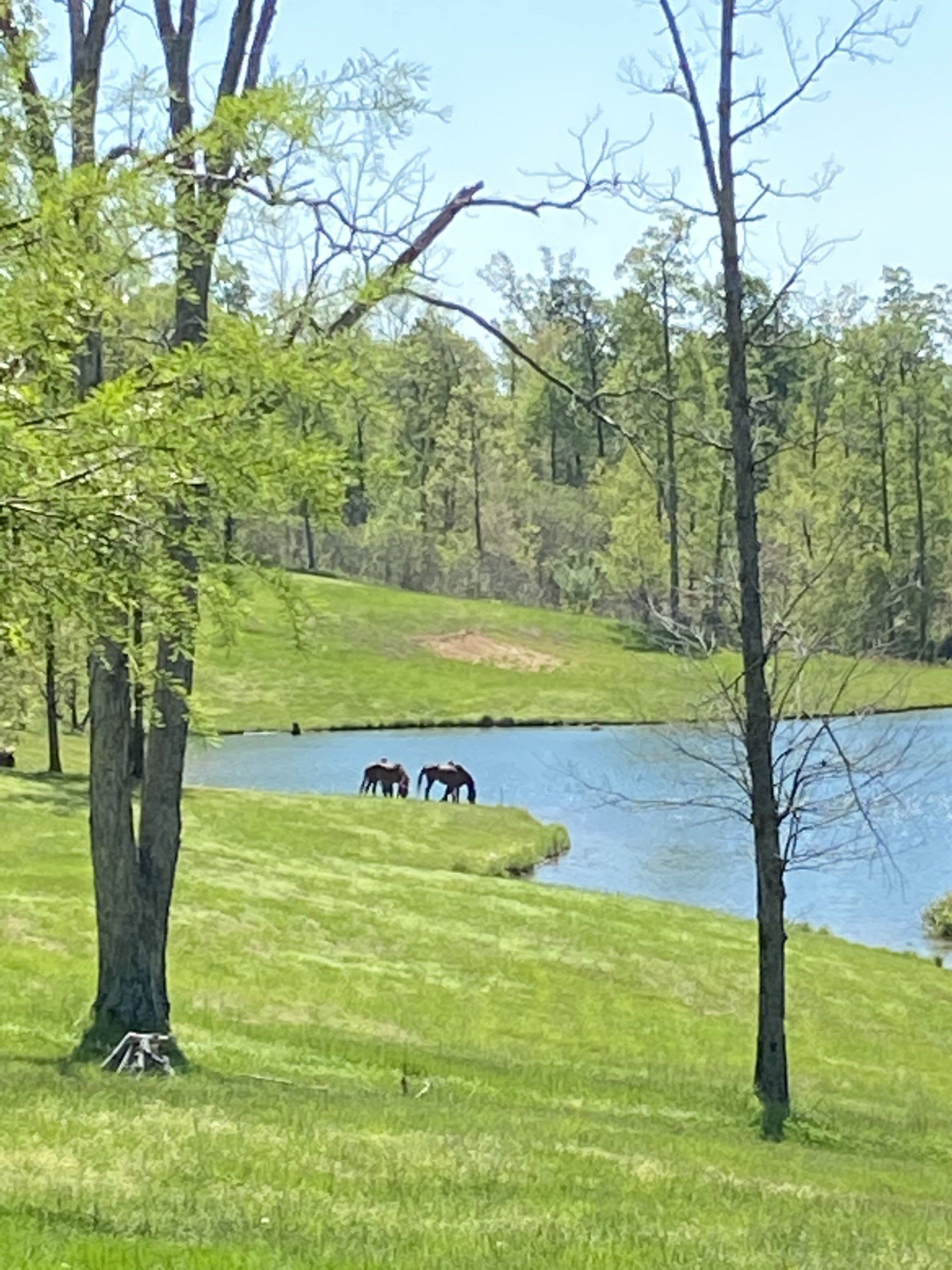 Twin Island Trail LLC