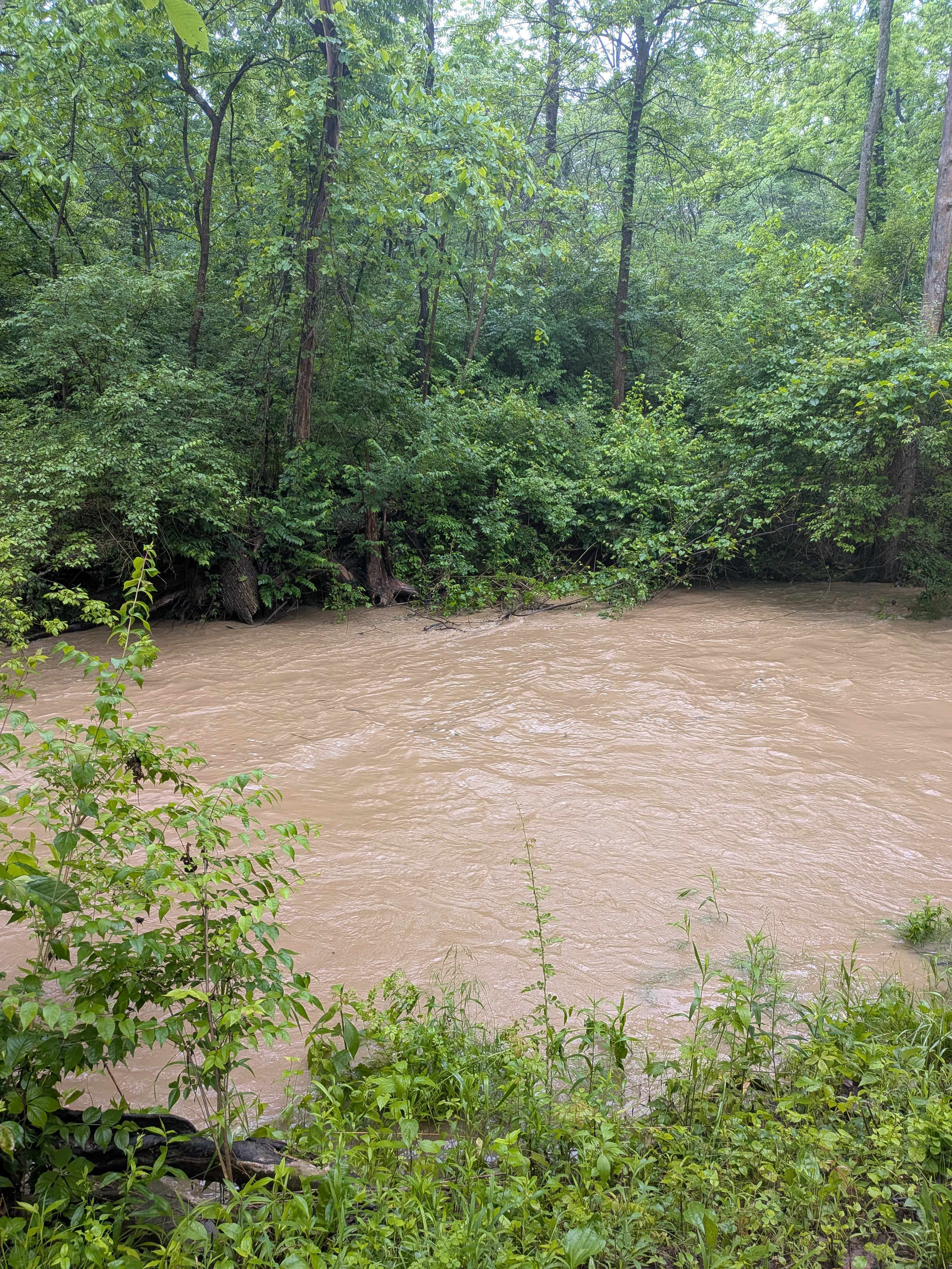 Creek next to site after heavy rain